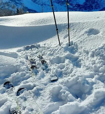 Hotel Garni Sonnhof 4*