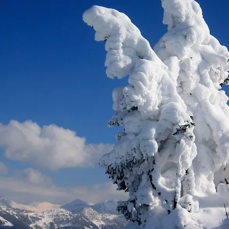 Garni Sonnhof Hotel 4*