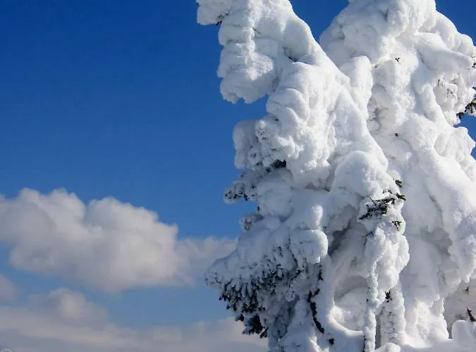 Garni Sonnhof Szálloda 4*