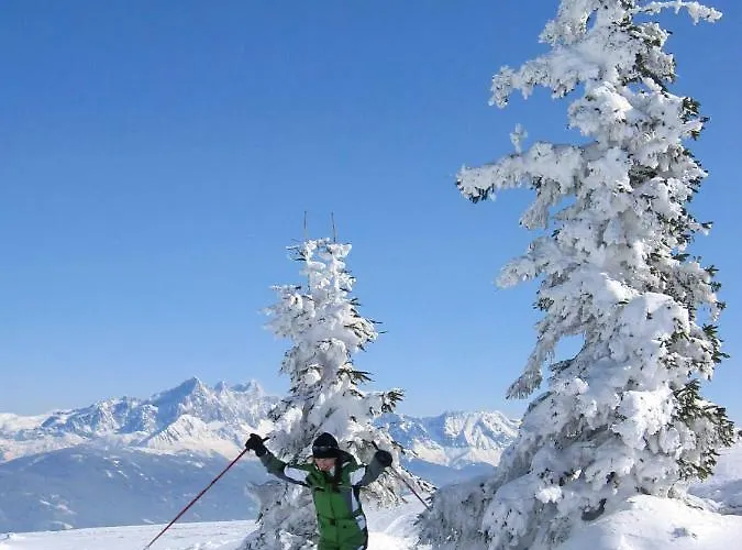 ホテル Garni Sonnhof 4*